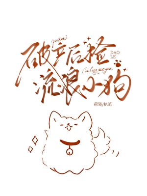 破产后捡到了流浪小狗