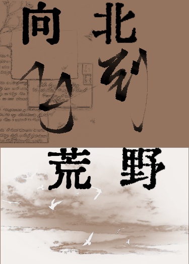 向北飞到荒野